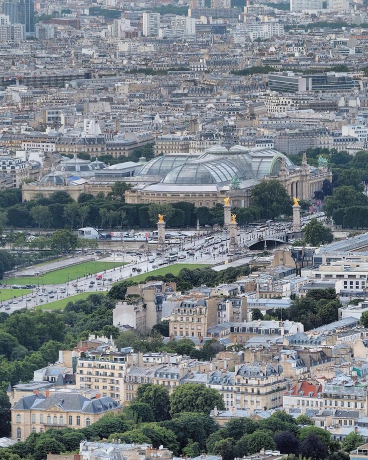 An aerial view of the Grand Palais and Pont Alexandre III in Paris.