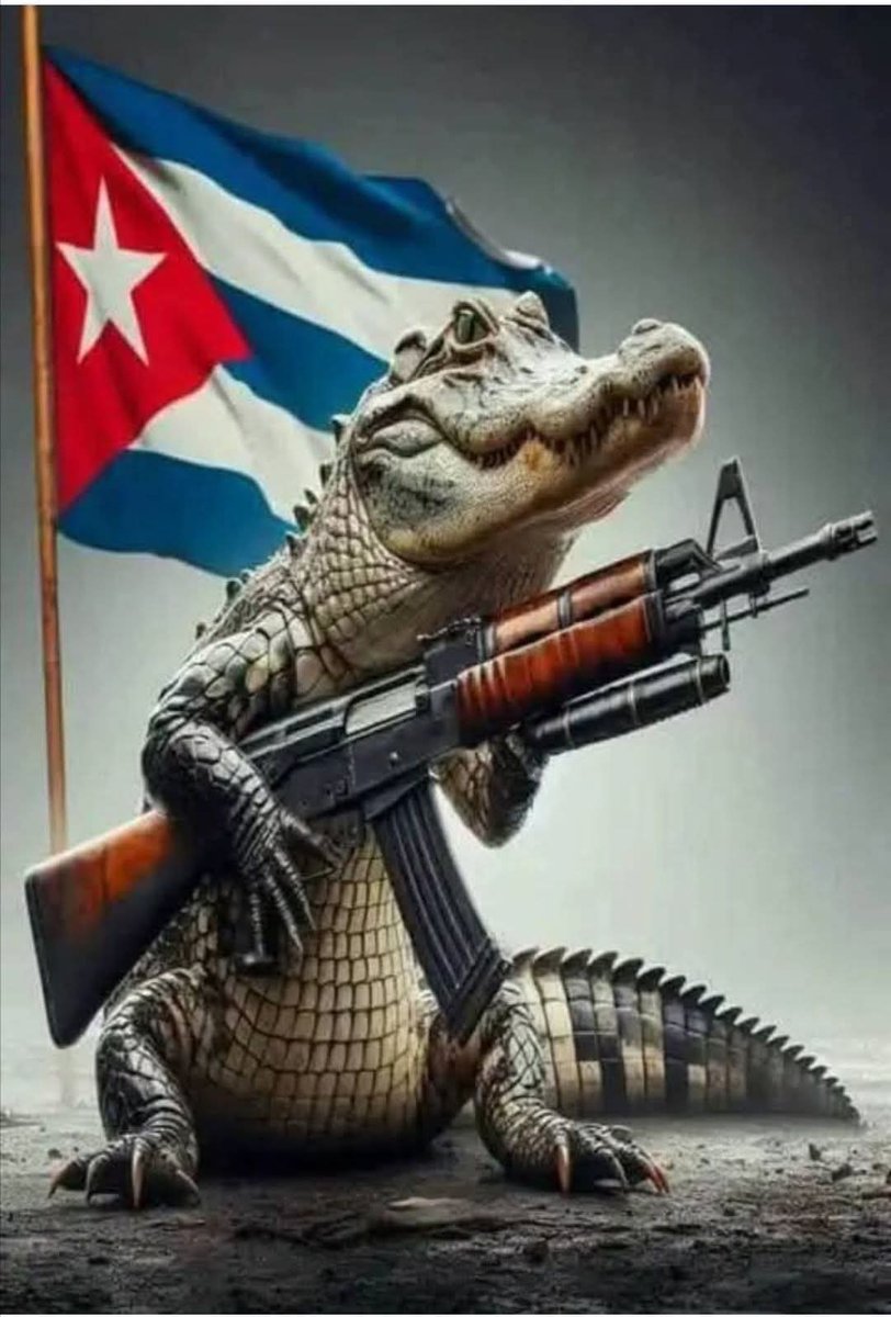 Listos y Preparados para lo que sea. CUBA se Respeta, la Patria la defenderemos hasta las últimas Consecuencias. CUBA Vencerá.