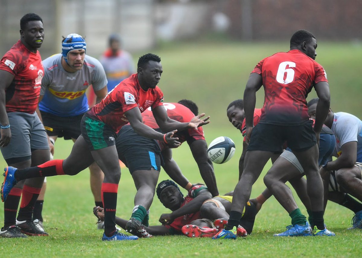 Salamanda🐼 tweet media