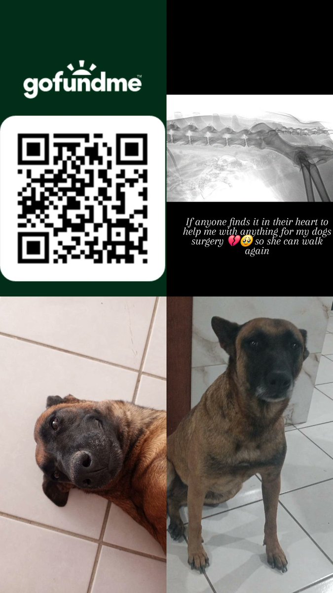 Fernanda judith Castillo tweet media