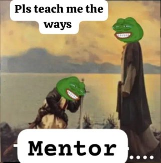 The Chef 👨🍳📈 tweet media