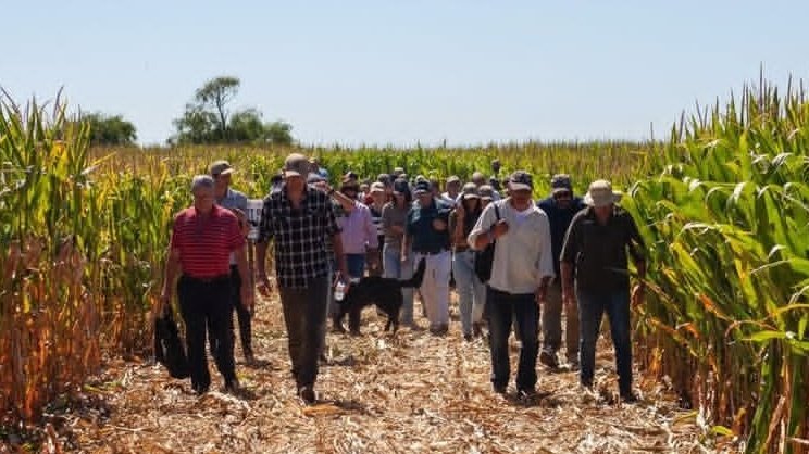 EDM - Estudio Agronómico tweet media