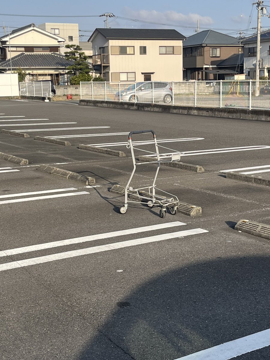 繁殖引退犬そらの日常 tweet media