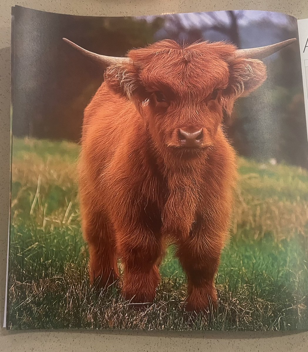 Michael Taylor tweet media