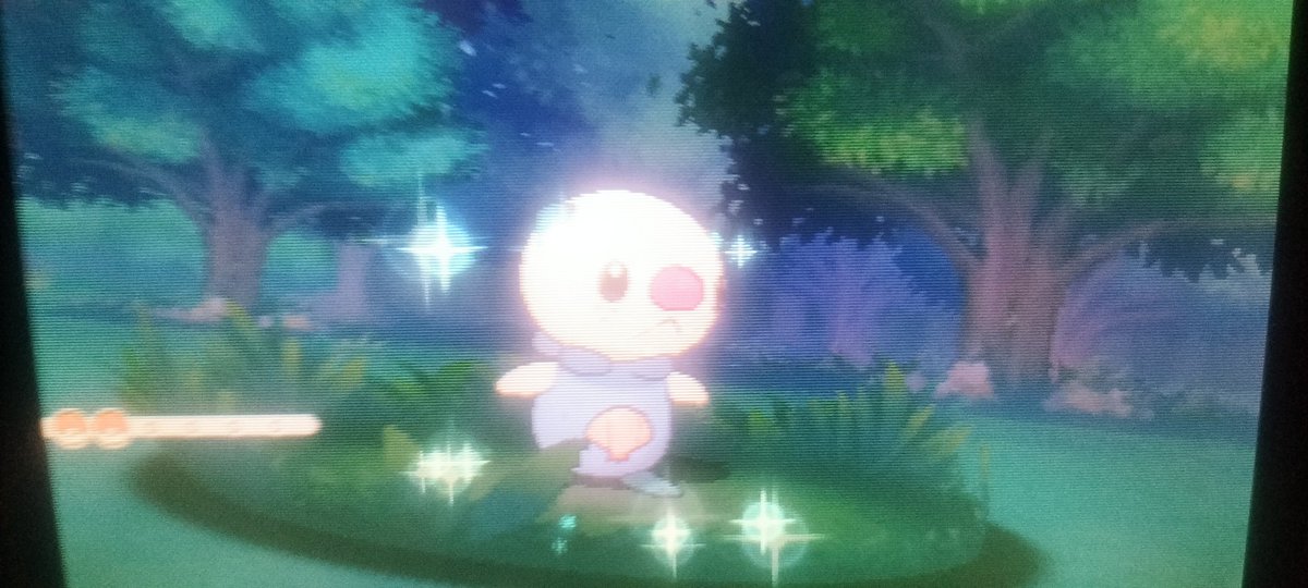 Bonsoir en 2330 moustillon vu sur ROSA j'ai enfin trouvé le shiny. Très perturbant de trouver un starter 5G sur les remakes de la 3G mais c'est qui fait de la chasse son petit plus. Je suis trop content. 🔥