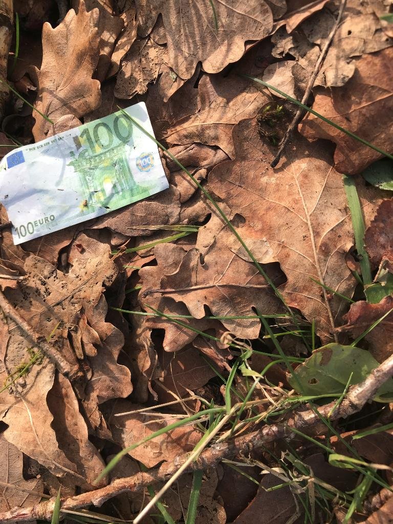 LitterApp.NET tweet media