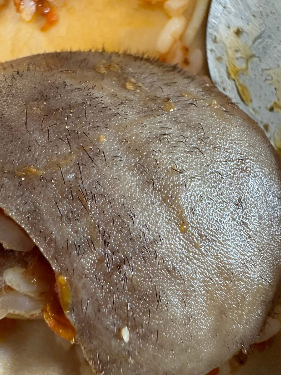 Aunty Kemi Of Ibadan ||Desiremultifood🇳🇬 tweet media