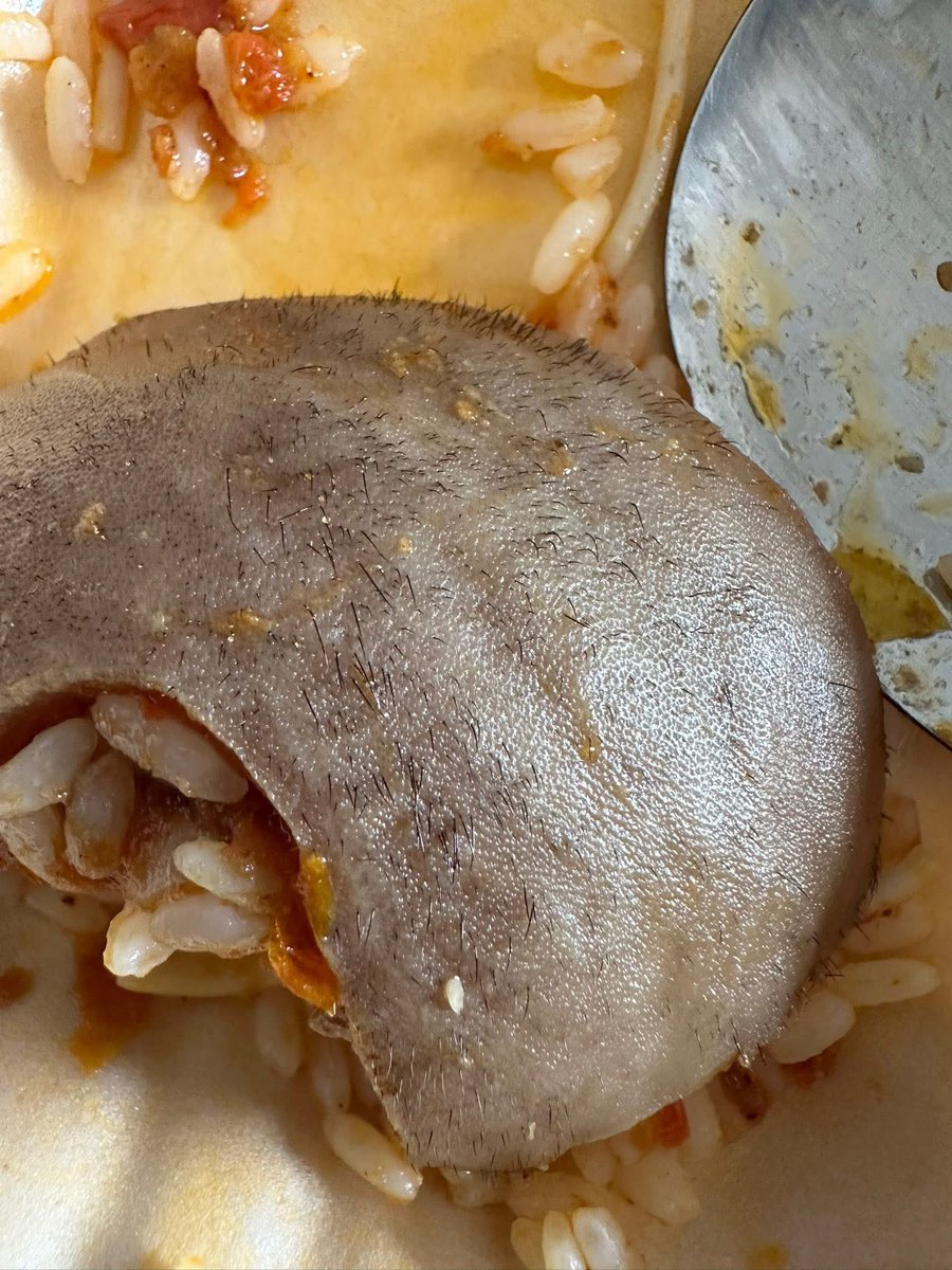 Aunty Kemi Of Ibadan ||Desiremultifood🇳🇬 tweet media