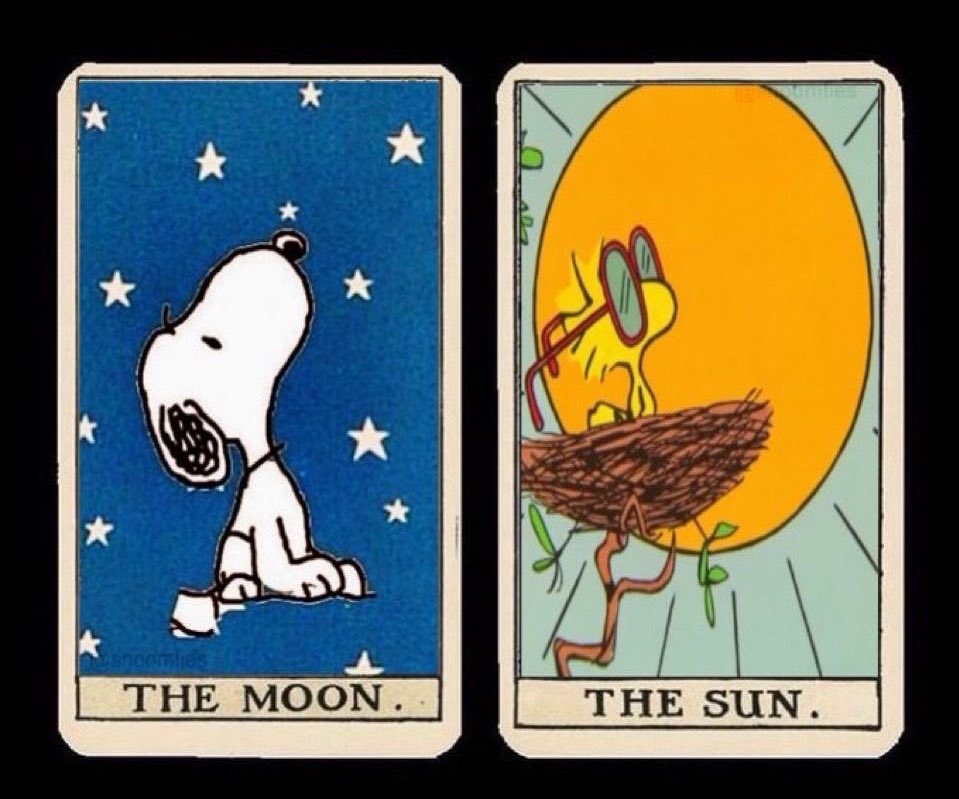 Daily Snoopy (@dailysnoopys) on Twitter photo 