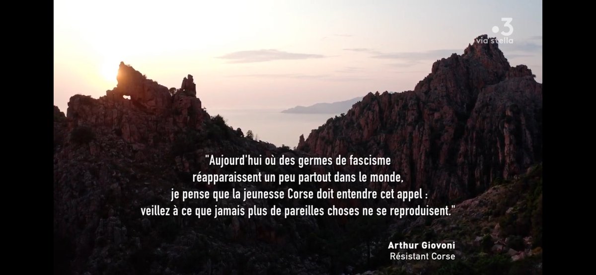 marcel tavera tweet media