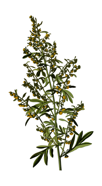 Erastus Ann tweet media