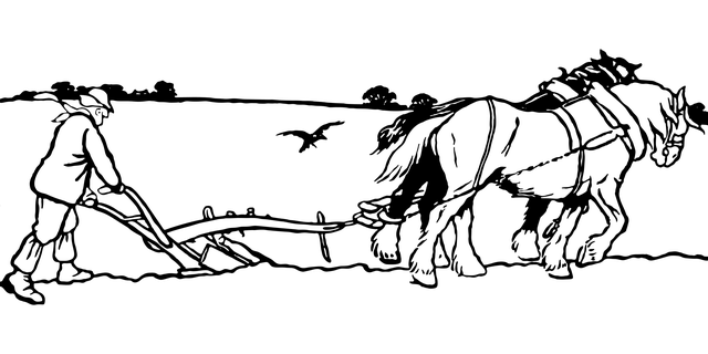 Goldwin Olive tweet media