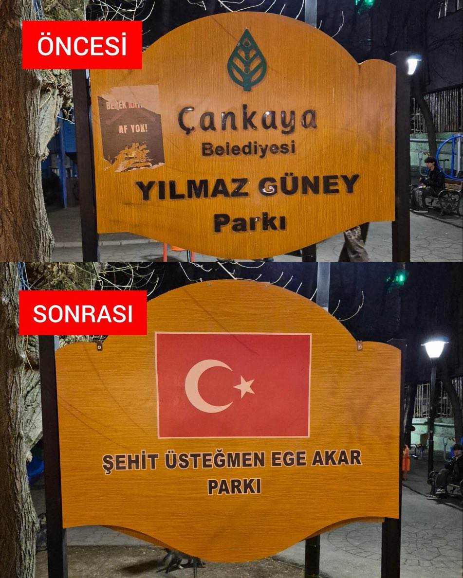 Bürküt. tweet media