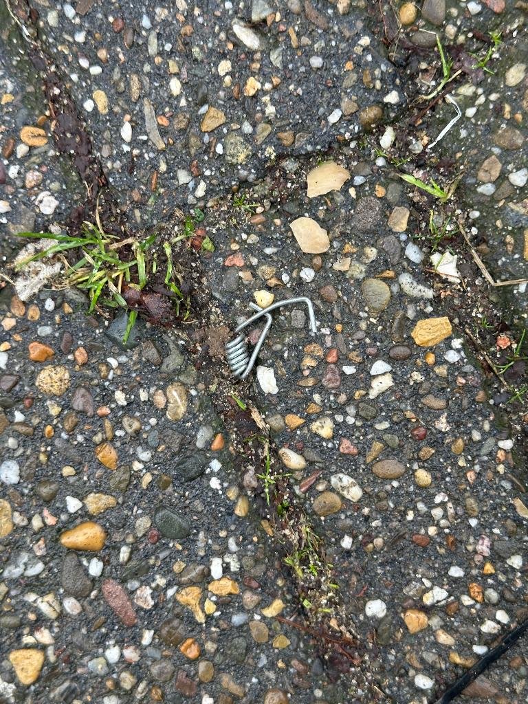 LitterApp.NET tweet media