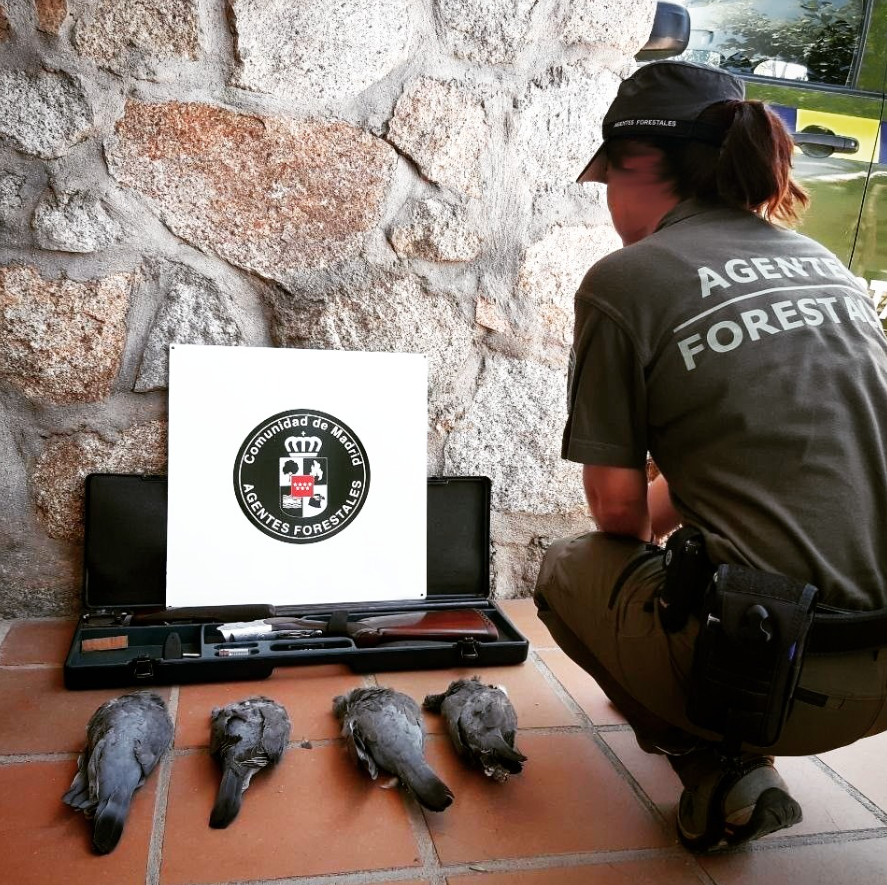 Agente Forestal Táctico tweet media