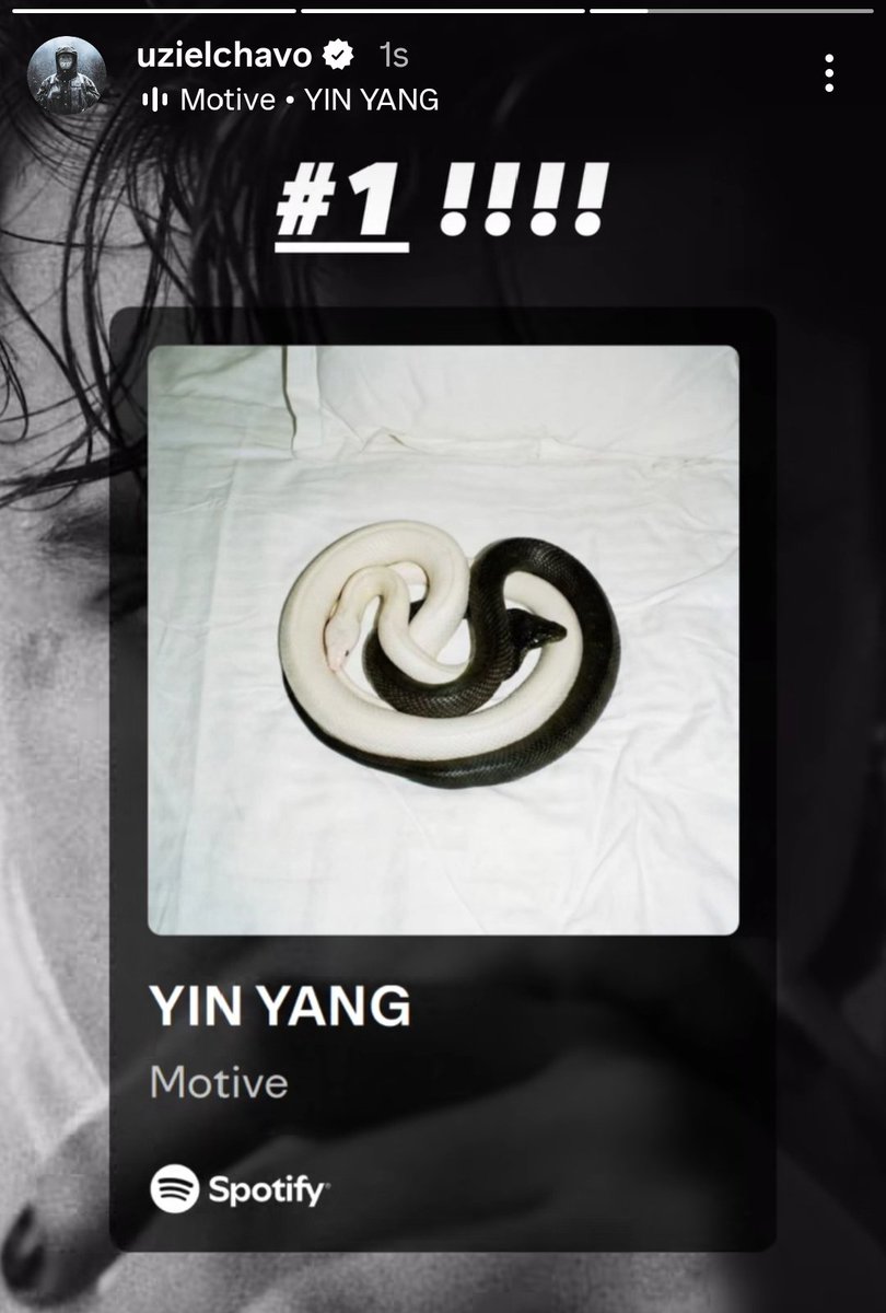 Oğlum bu adamlar kardeş lan