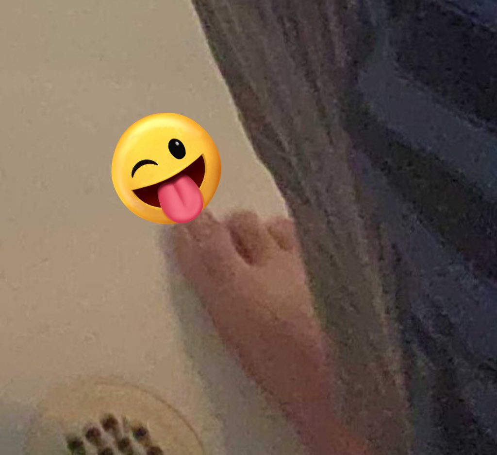 Mellohi 🐕🏳️‍⚧️ Mutt Boy PreDebut Vtuber tweet media