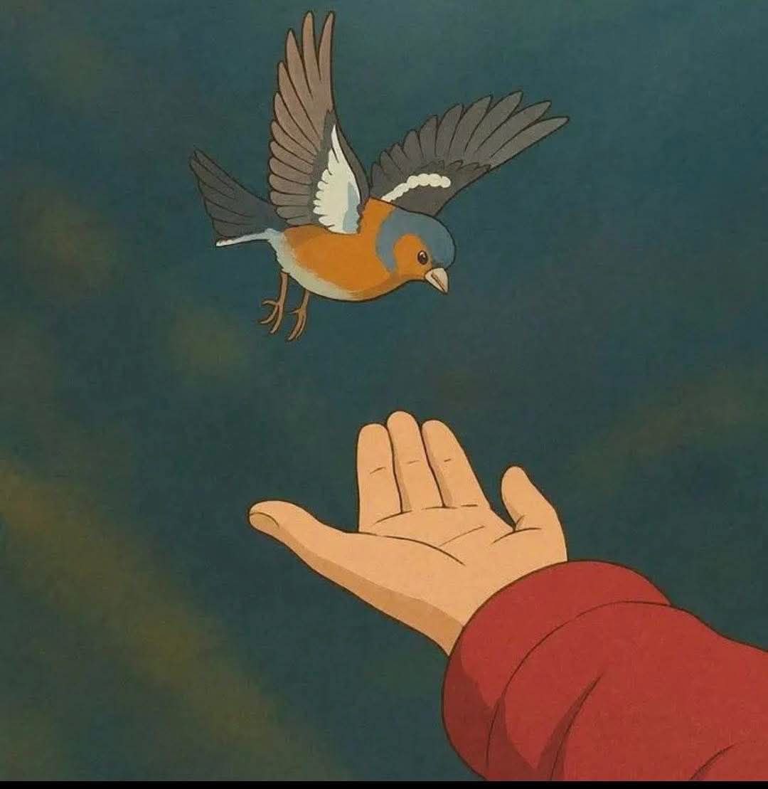 المنير كاظم tweet media