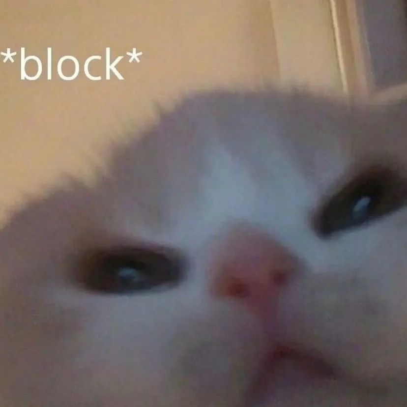 Punch Cat (@punchingcat) on Twitter photo 