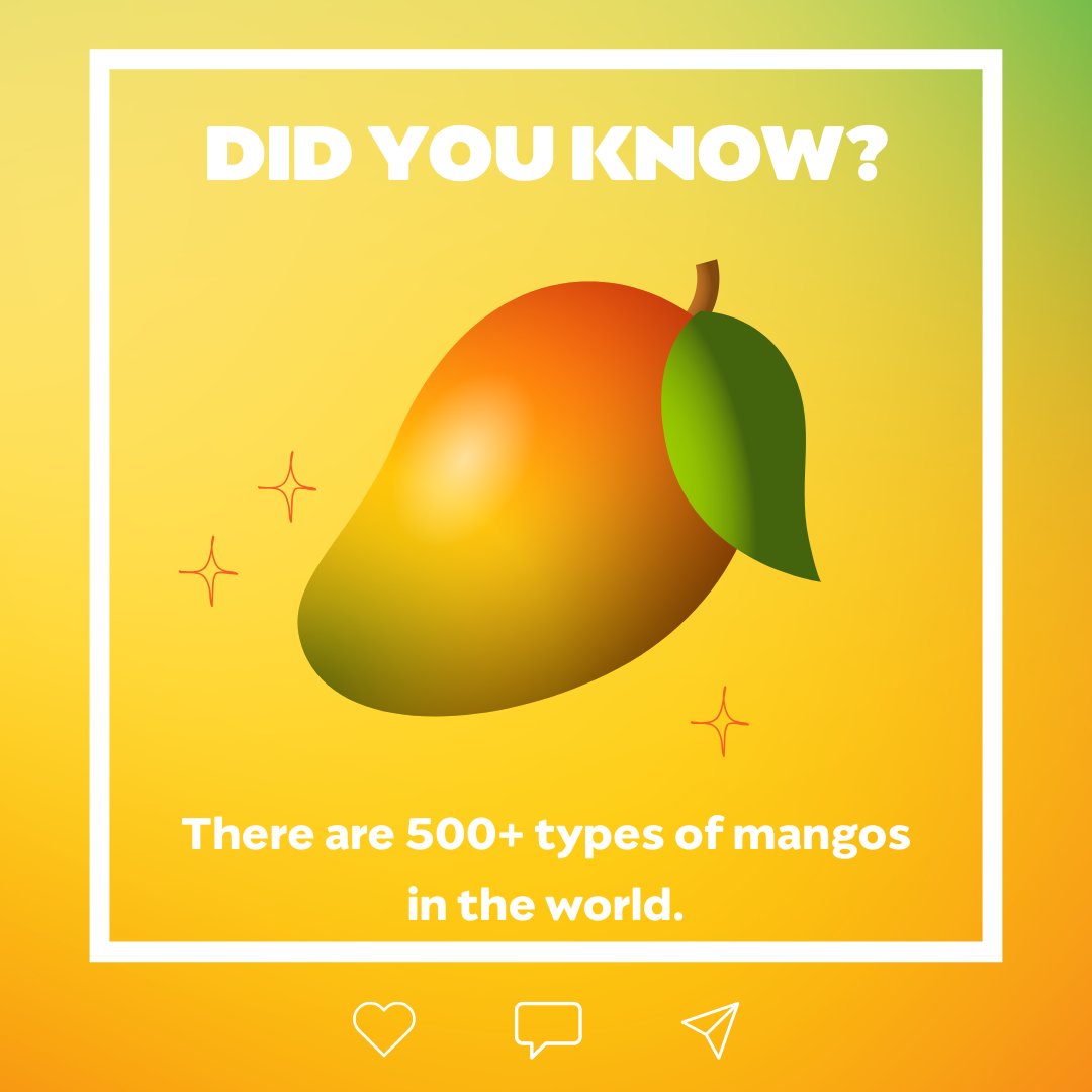 Mango Board tweet media