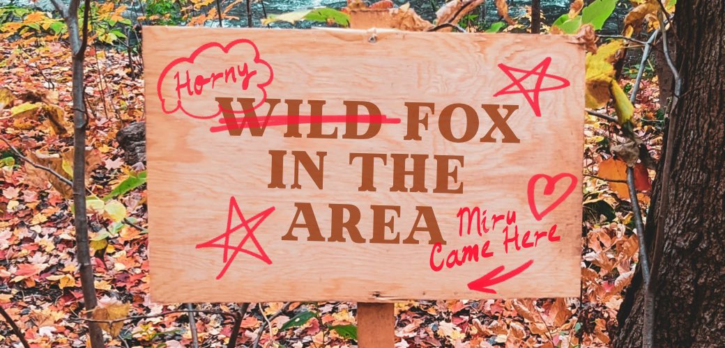 Miru 🦊 Fox Femboy 🔞 tweet media