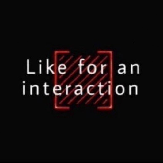 VESPA CRABRO // 𝙏𝙃𝙀 𝙔𝙀𝙇𝙇𝙊𝙒 𝙃𝘼𝙍𝙋𝙊𝙊𝙉 tweet media