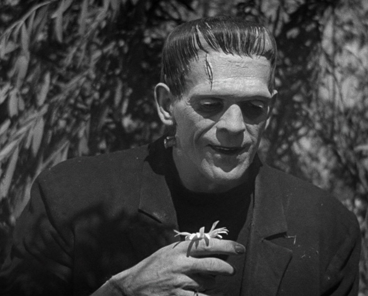 belllmonts's tweet photo. frankenstein (1931) | frankenstein (2025) https://t.co/MkGxrfiLZf