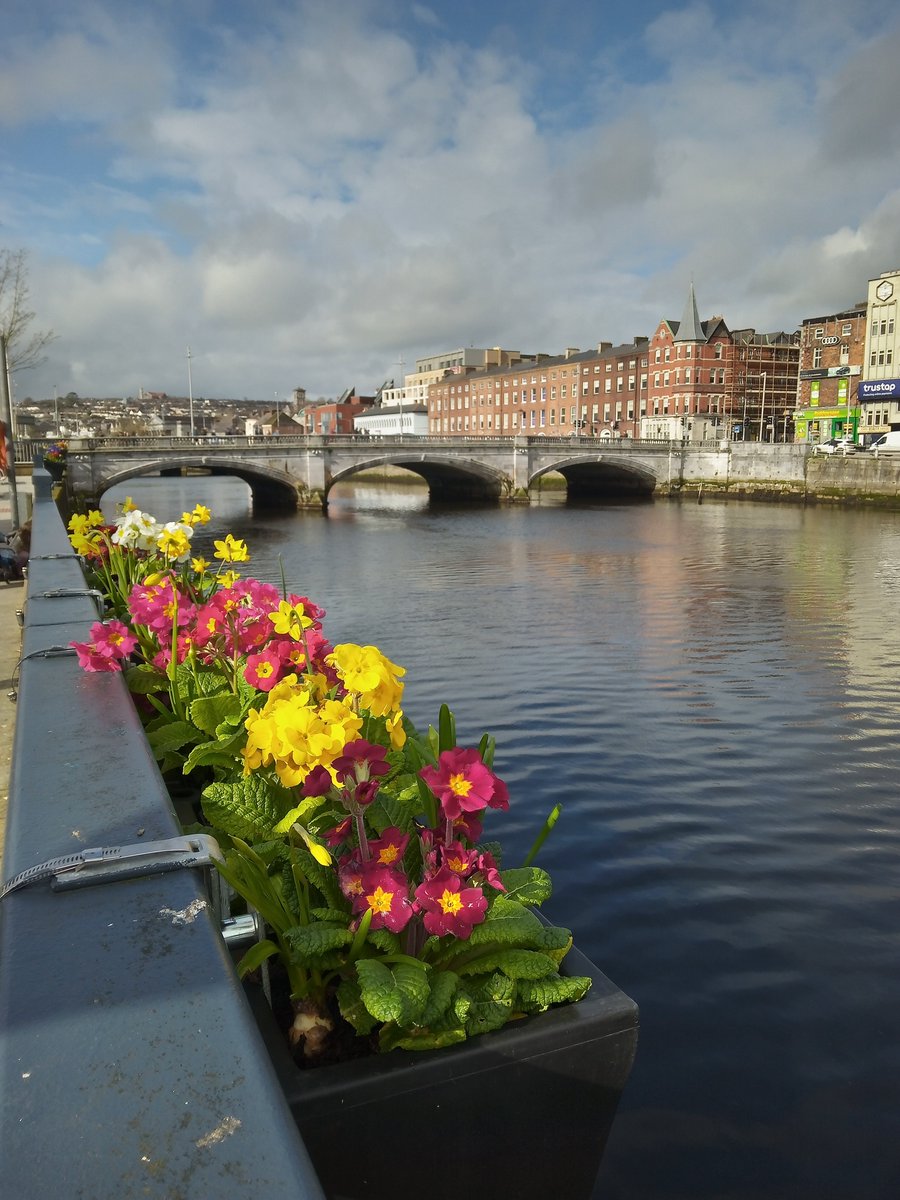 Oliver O'Hanlon tweet media