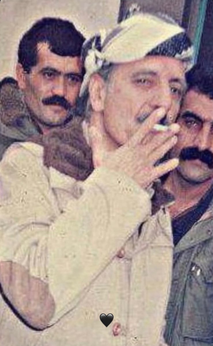 iman abdi tweet media