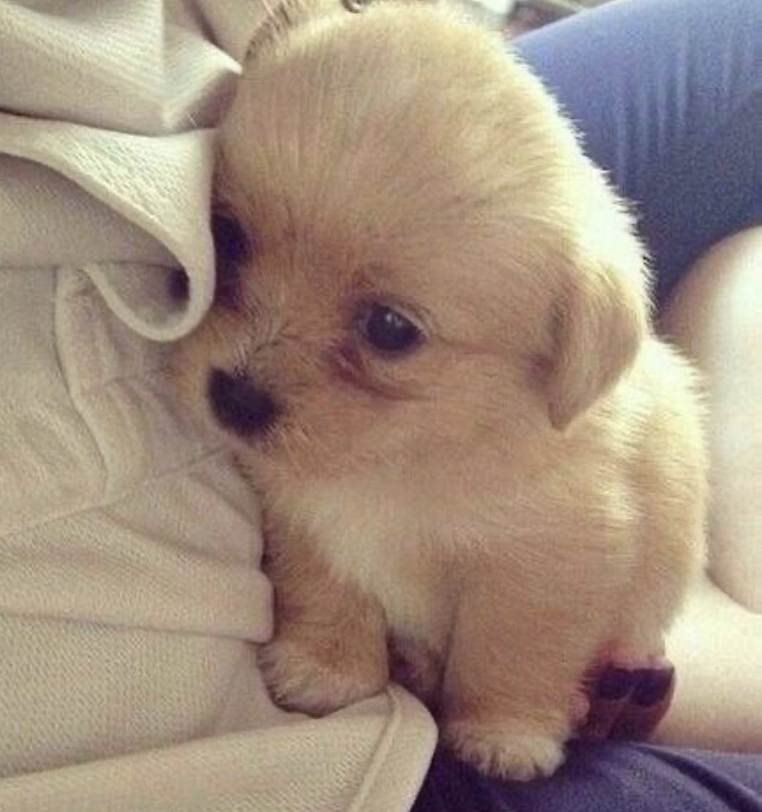 pingandosangue's tweet photo. o conceito de ficar triste lembrando de momentos felizes https://t.co/fVaHOHwfBA