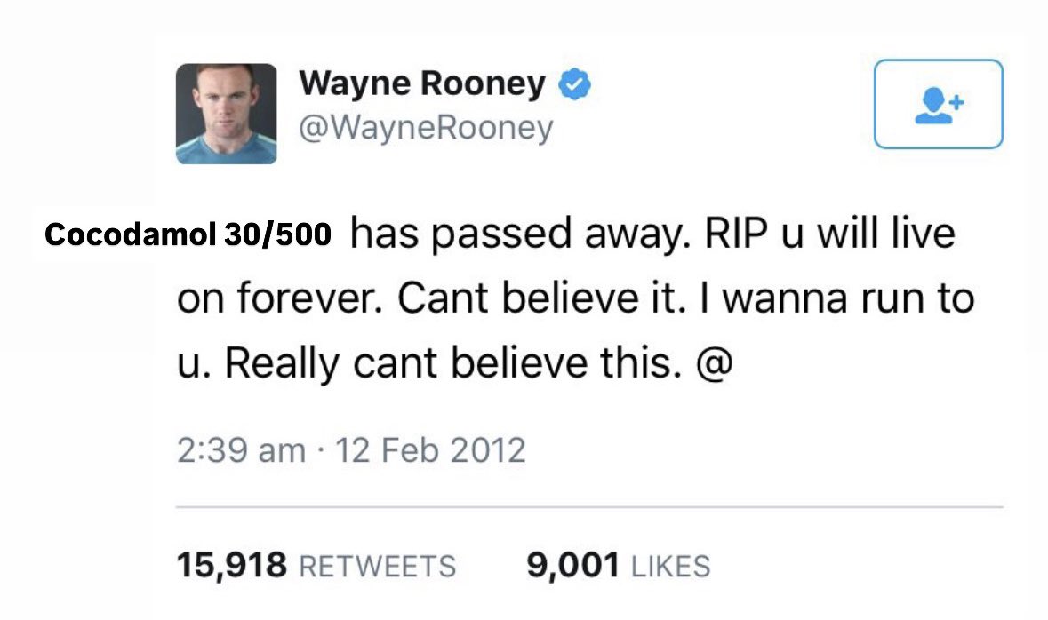 debbs 🇵🇸 tweet media