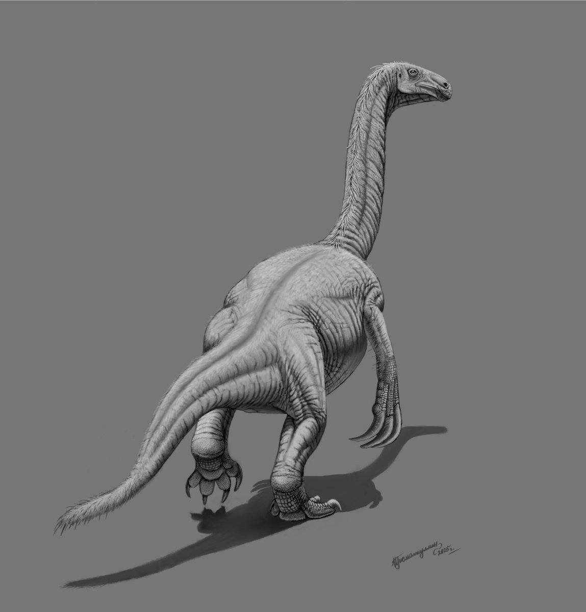 ildarotyrannus's tweet image. Therizinosaurus cheloniformis, the biggest known therizinosaur theropod. Done in Gimp as exercise in monochrome painting.

#paleoart #dinosaur