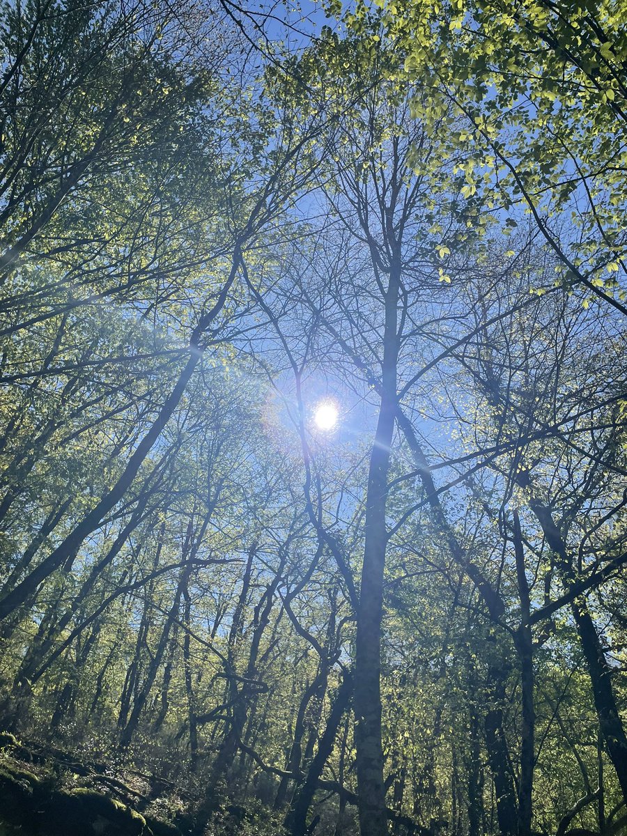 Erdem Yavuz (@erdemyavuz00) on Twitter photo 