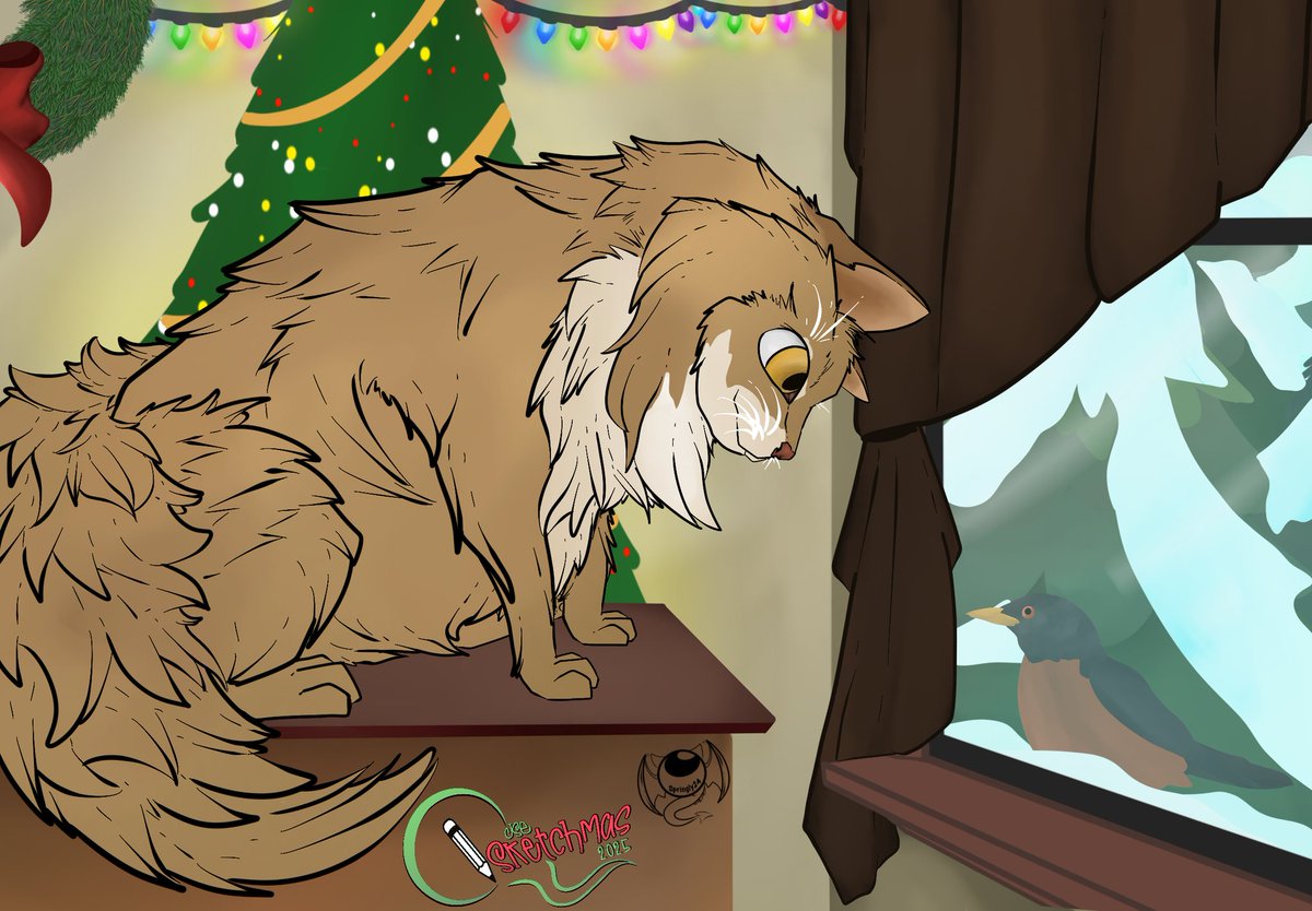 🔥Springly🏕️ tweet media