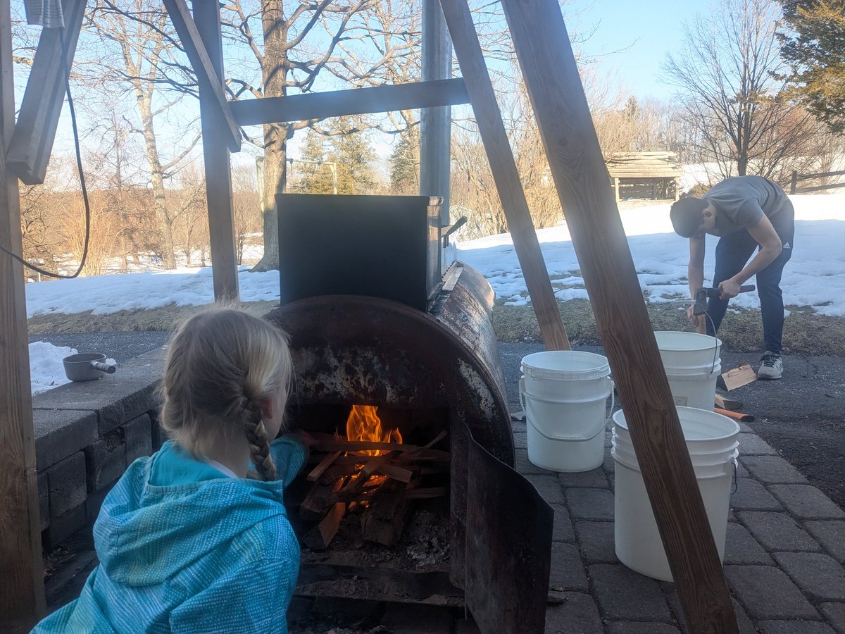 Marianne Wright tweet media