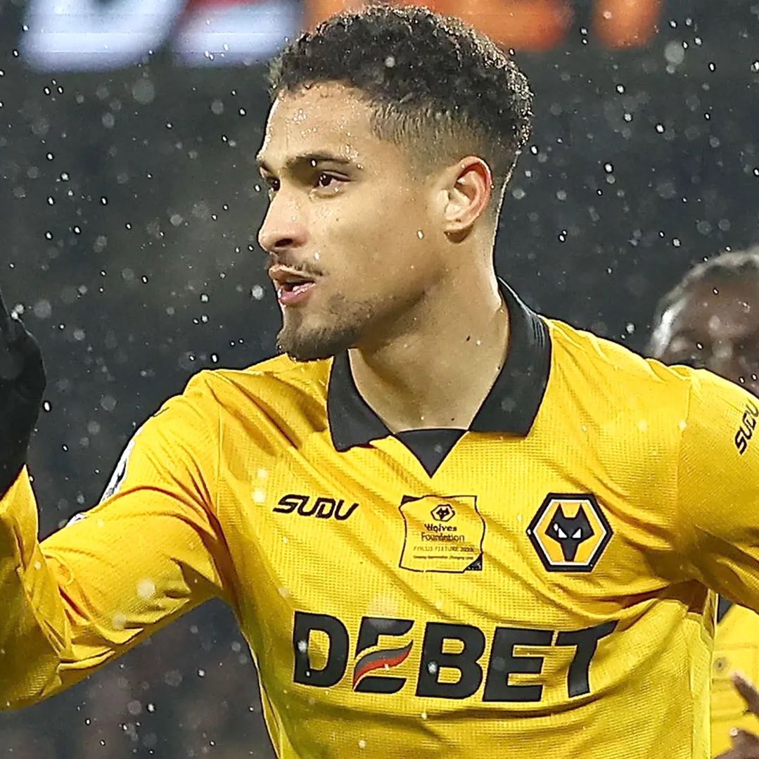 Talking Wolves tweet media