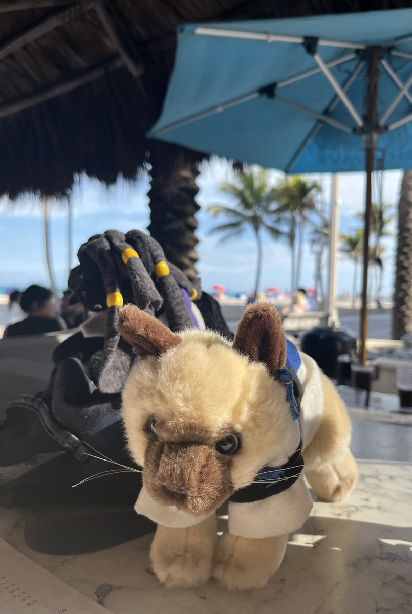 Bri Should Be 🫠 tweet media