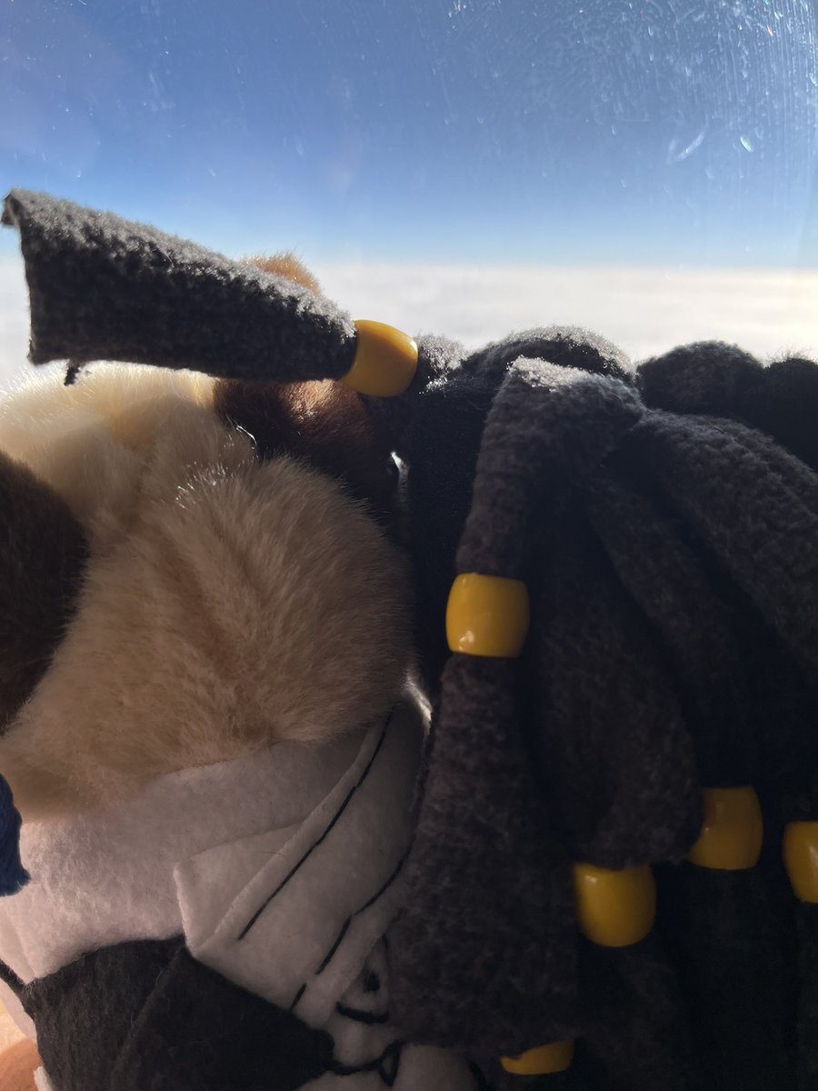 Bri Should Be 🫠 tweet media