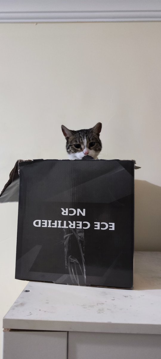 drchemist35's tweet photo. @omerart_gm arada bir gelir, misafirimiz olur kapımızın önünde, ama yakalanacak diye tereddütlerim var🙂🙂🙂 iyi hafta sonları bizden herkese🐈🐈‍⬛ https://t.co/fvzwWKLnue