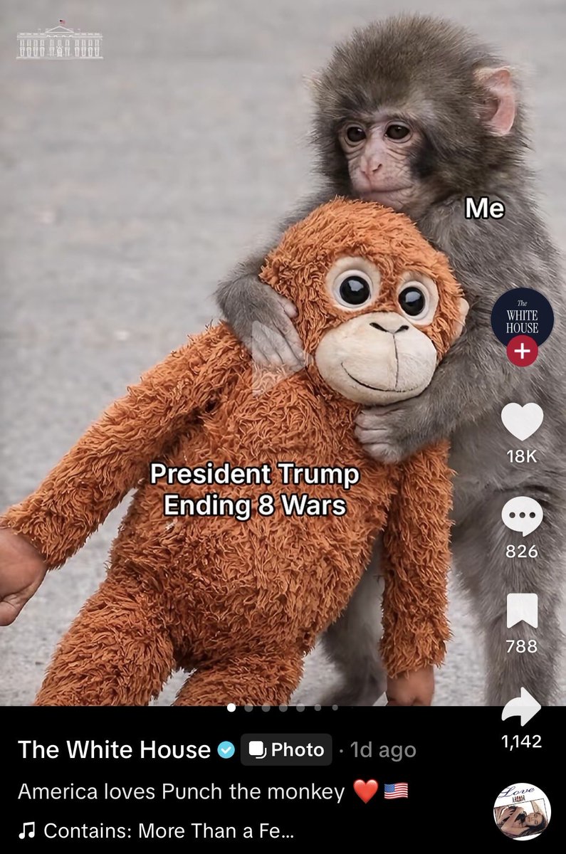 0xWinterX's tweet photo. President Trump Ending 9 Wars
$PUNCH it. https://t.co/6j7Tov5E1H