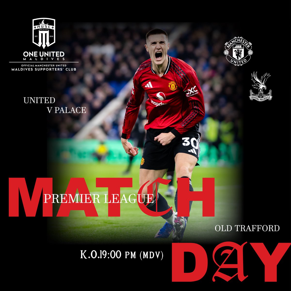 One United Maldives tweet media