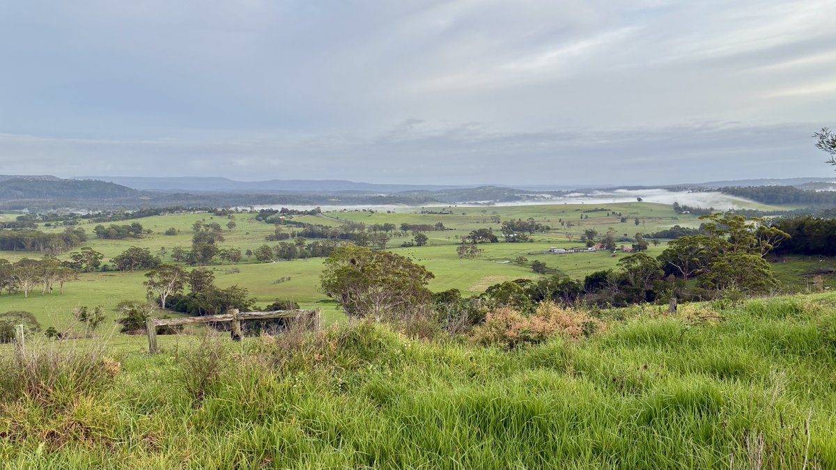 Peter Webster tweet media