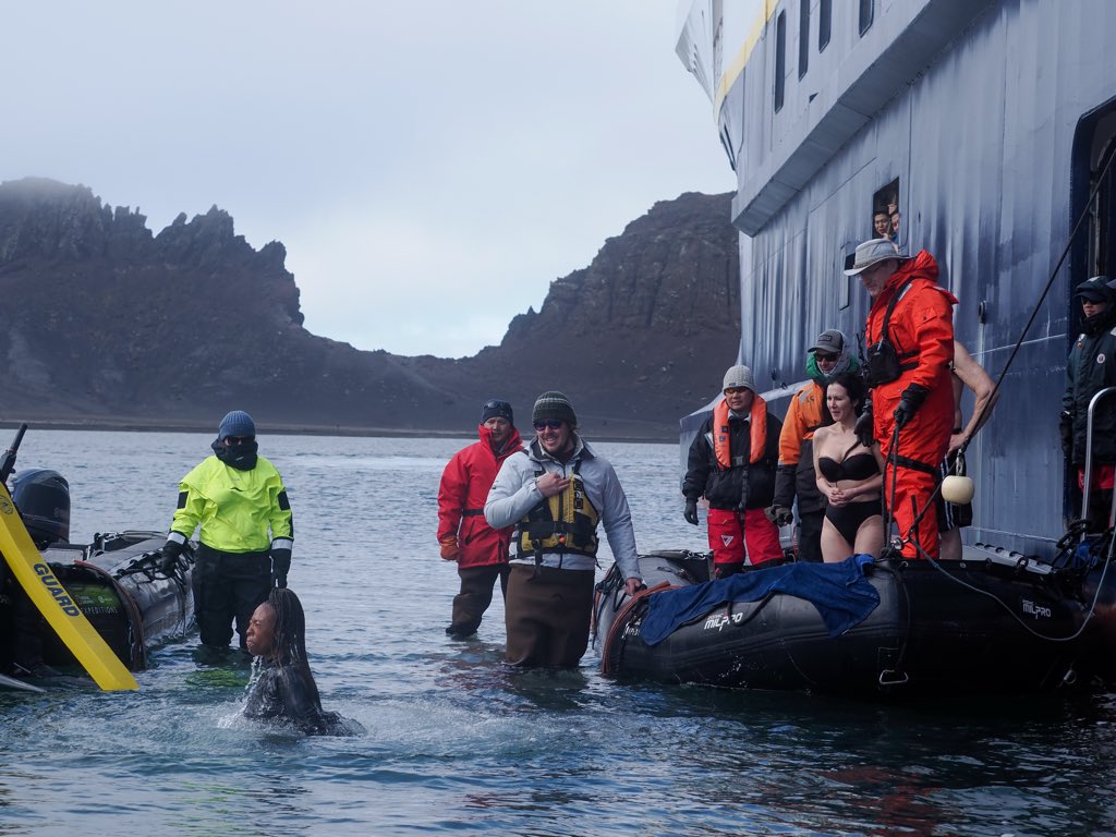 Dr Tracey Lynn Perez Koehlmoos tweet media