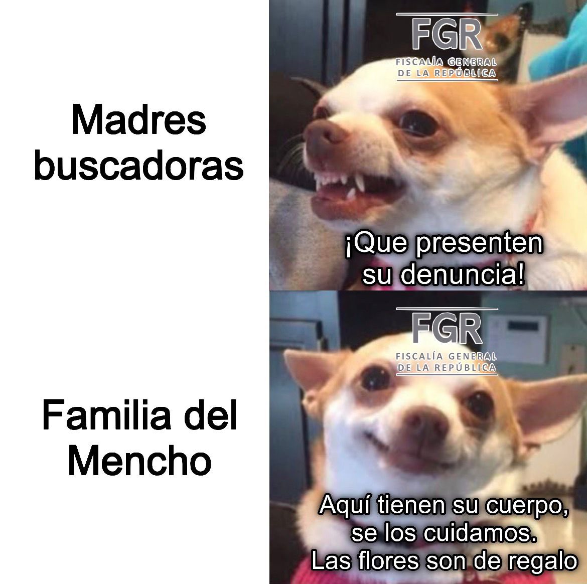Whitexican (@loswhitexicans) on Twitter photo 