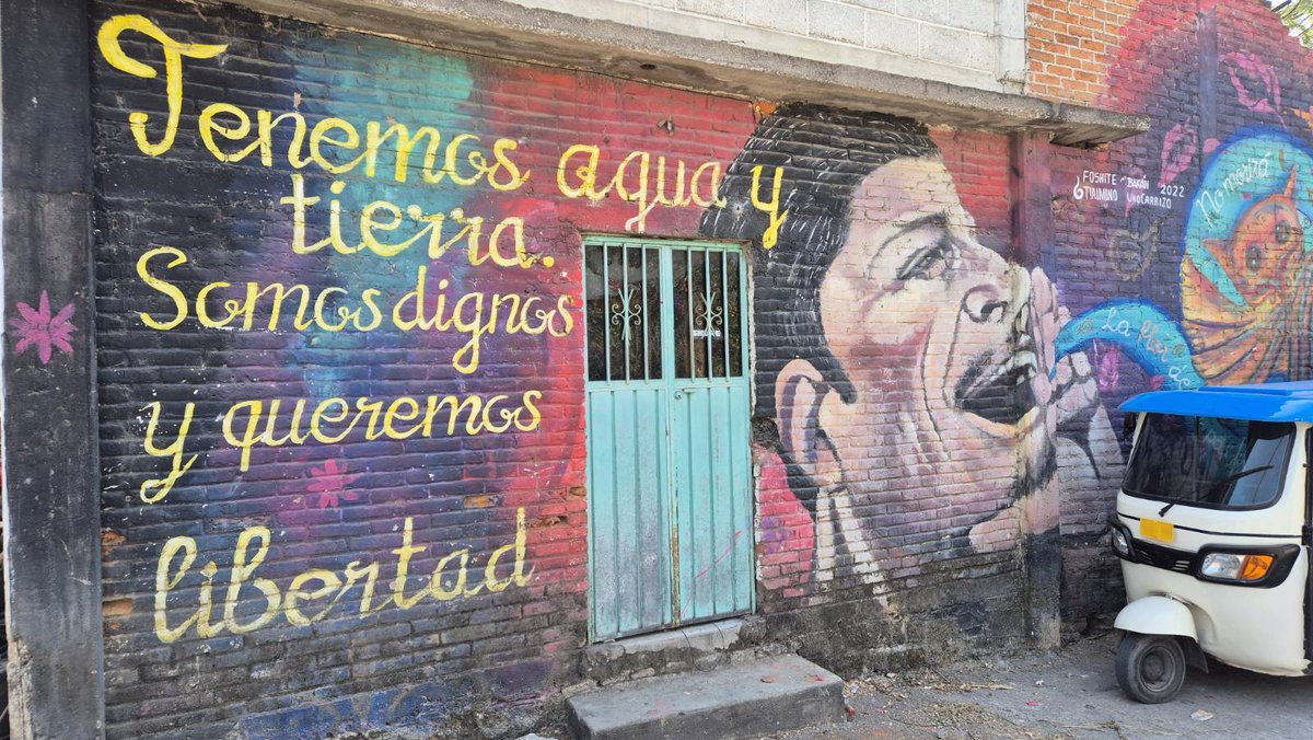 Peace Brigades International-México tweet media