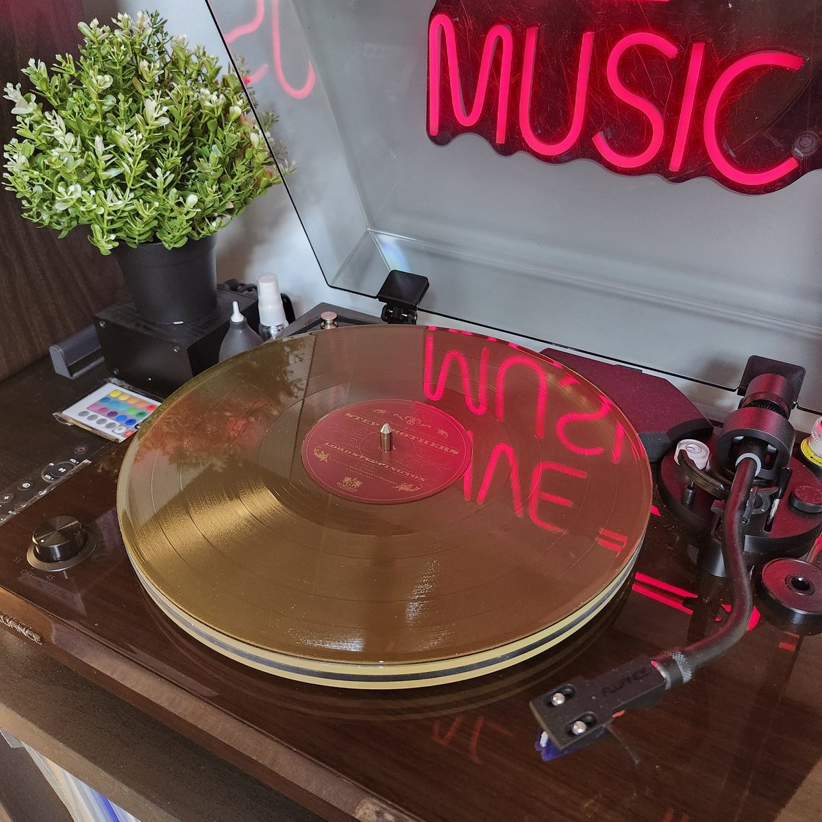 Emmanuel Flores tweet media