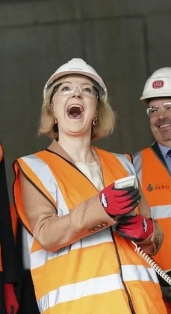 Colin the Dachshund tweet media