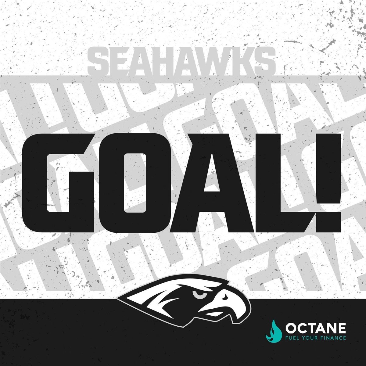 Hull Seahawks 🦅🏒 tweet media