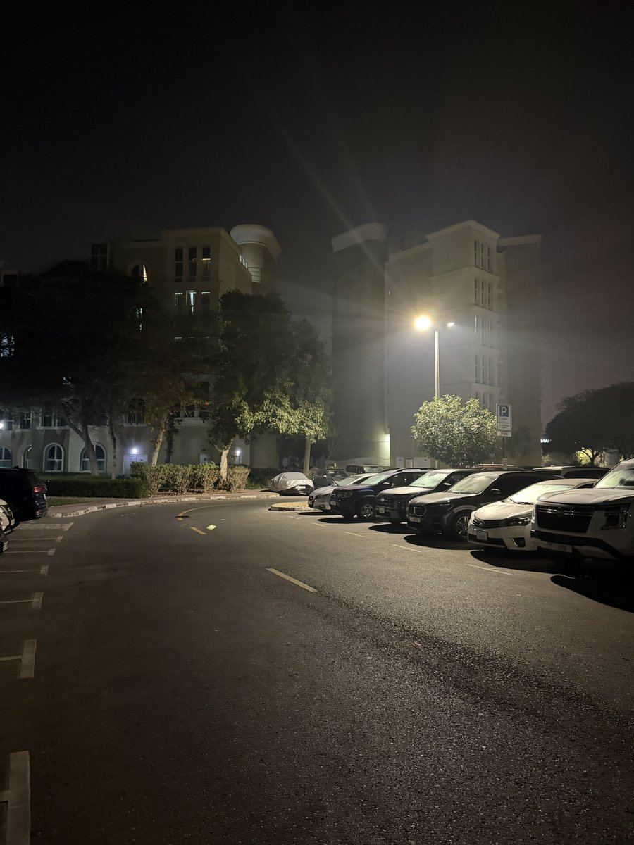 Jepot🐻↕️ tweet media