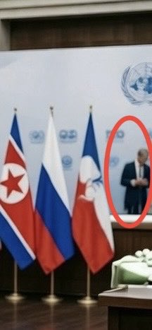 Torvillini the Great tweet media